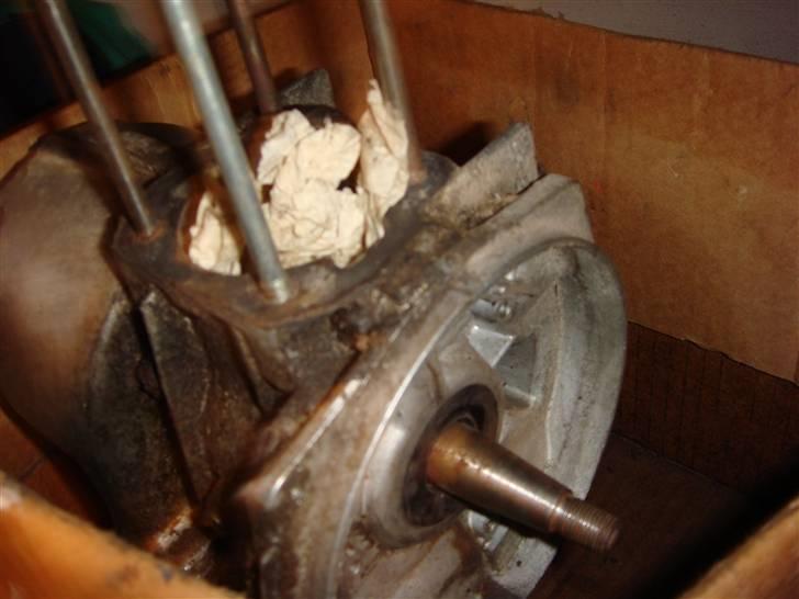 Puch maxi p projekt billede 5