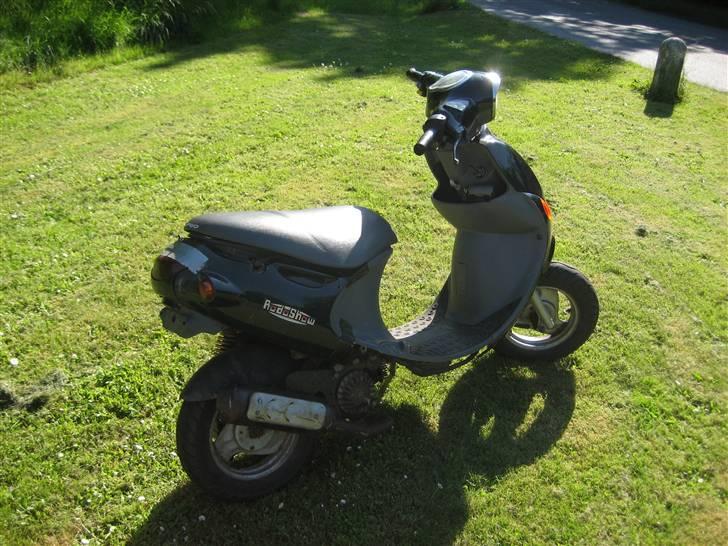 PGO rodoshow *solgt* billede 4