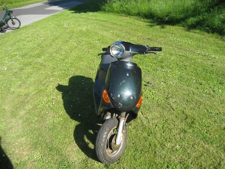 PGO rodoshow *solgt* billede 5