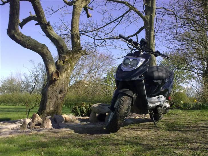 PGO Hot50 Hverdags scooter. billede 3