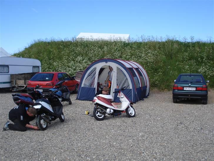 Aprilia Sonic - Camp til asw billede 5