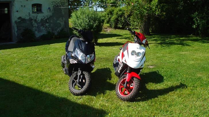 PGO Hot 50 - Rasmus´ G-Max og min dejlige HOT  billede 14