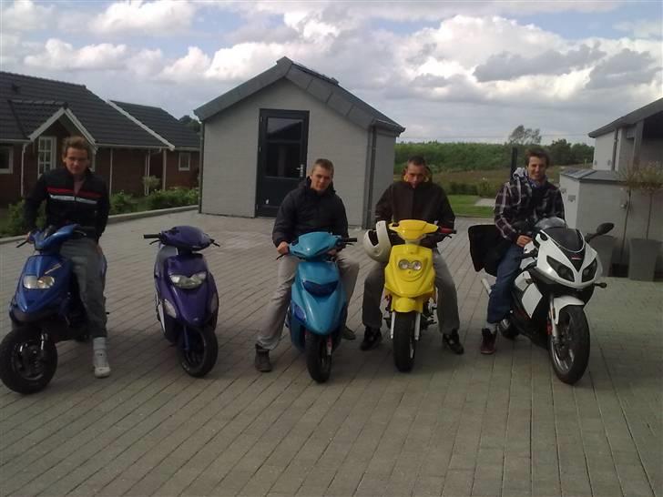 PGO Hot 50 (Gammel Model) billede 14