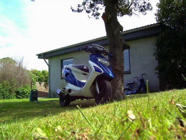 Honda SFX SOLGT billede 1