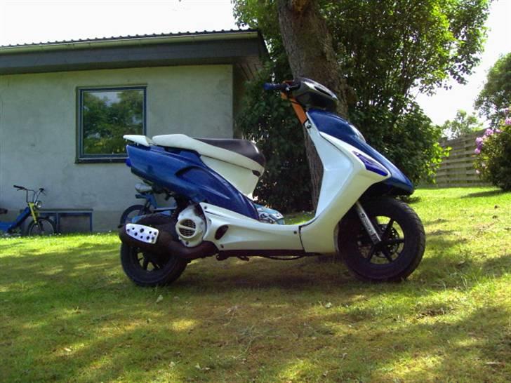 Honda SFX SOLGT billede 2