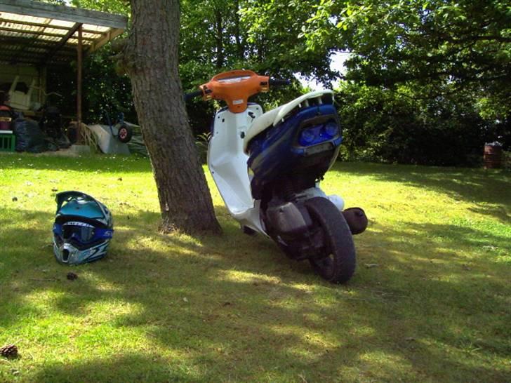 Honda SFX SOLGT billede 4