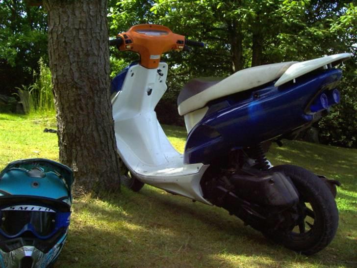 Honda SFX SOLGT billede 5