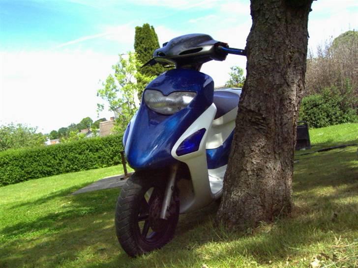 Honda SFX SOLGT billede 6