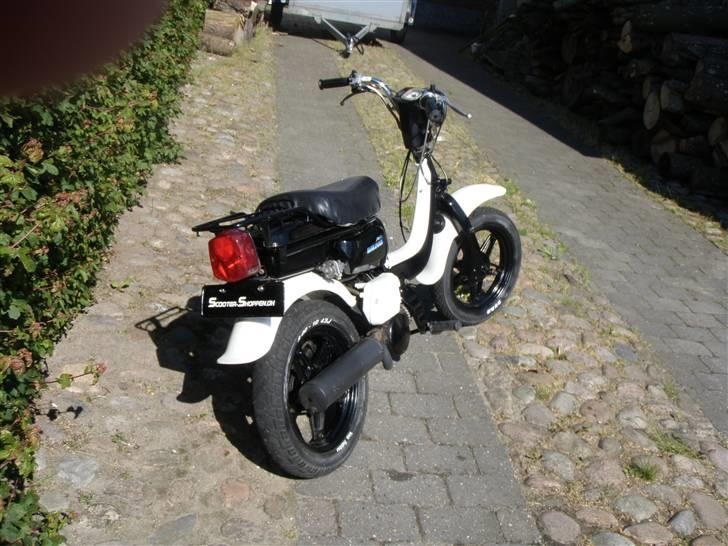 Suzuki Fz50 billede 16