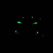 Aprilia Rally AC[StjåleT!]