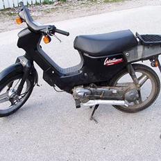 Honda wallaroo