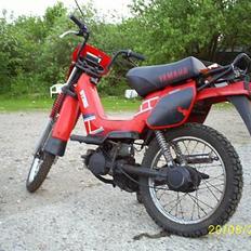 Yamaha Sting(Bws cylle)