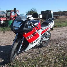 Yamaha TZR