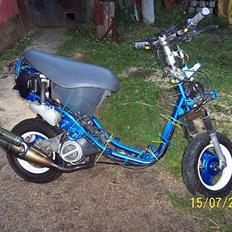 PGO Rodoshow [Projekt]