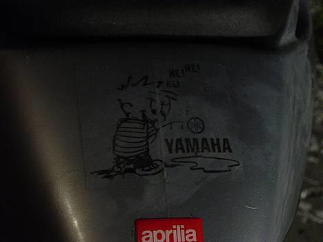 Aprilia sonic - team gran can billede 4