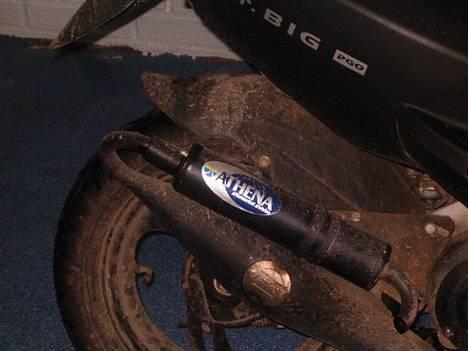 PGO dr. big billede 2