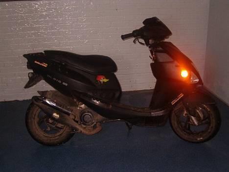 PGO dr. big billede 3