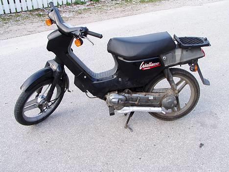 Honda wallaroo billede 2