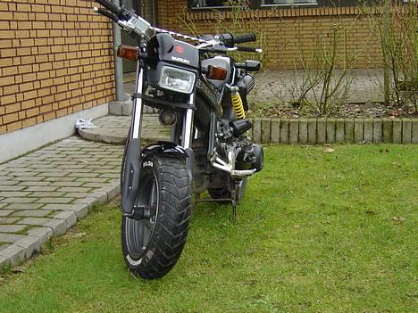 Suzuki Street Magic [SOLGT] - Solgt! billede 2