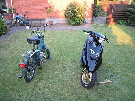 Puch maxi -=Team VSR=- billede 5