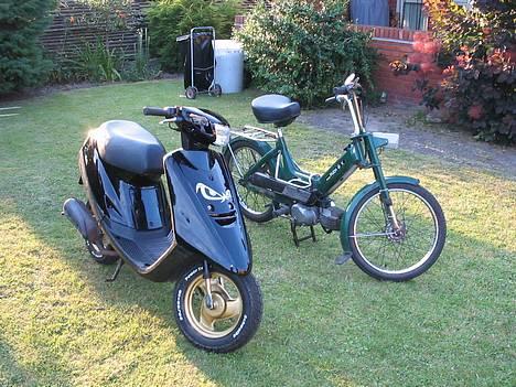 Puch maxi -=Team VSR=- billede 6