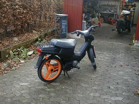 Honda Wallaroo billede 3