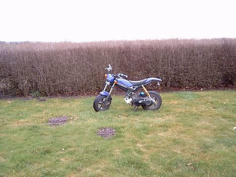 Suzuki street magic billede 6