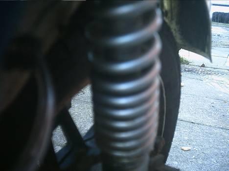 Suzuki Fz50 billede 7