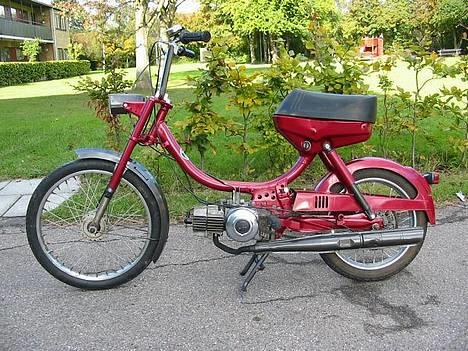 Puch "mini" Maxi billede 1