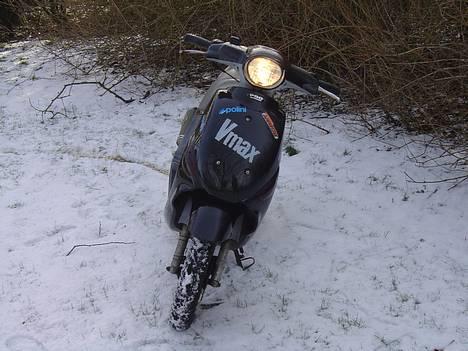 PGO Rodoshow (SOLGT) billede 4