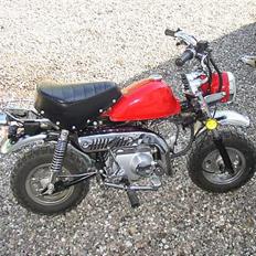 Jincheng Monkey    Solgt