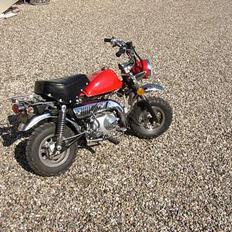 Jincheng Monkey    Solgt