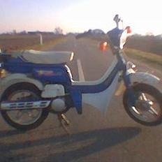 Suzuki FZ50 ~OFSRT~