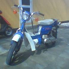 Suzuki FZ50 ~OFSRT~