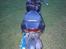 Aprilia Sonic ***Solgt***