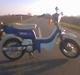 Suzuki FZ50 ~OFSRT~