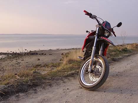 Gilera SMT billede 5