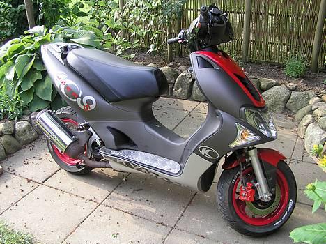 Kymco Super 9-aus Kolding-anlæg - Er den ikk lækker?! billede 3