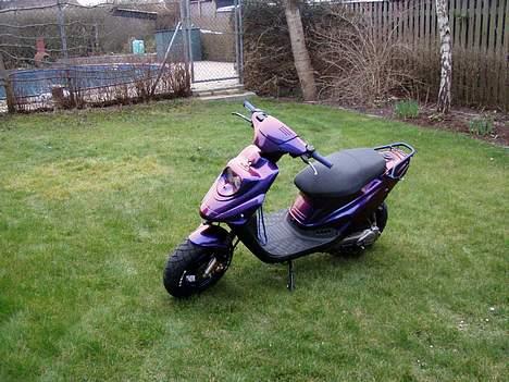 PGO Hot 50 Kamælion billede 1