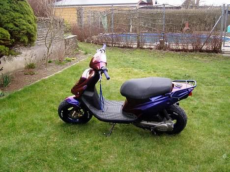 PGO Hot 50 Kamælion billede 3