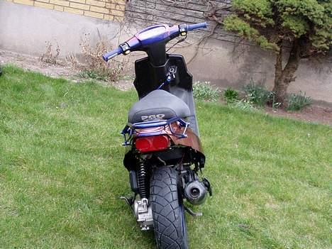 PGO Hot 50 Kamælion - go røv billede 4