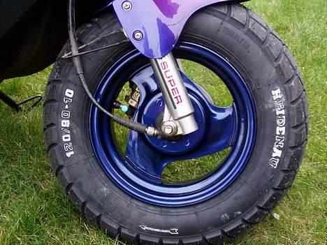 PGO Hot 50 Kamælion billede 5