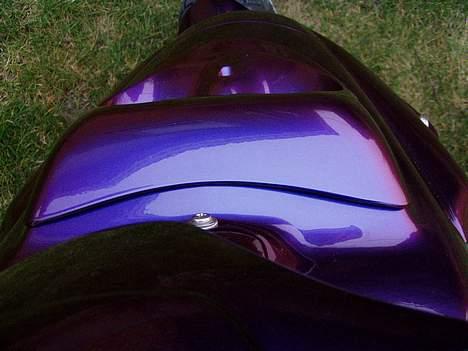 PGO Hot 50 Kamælion billede 6