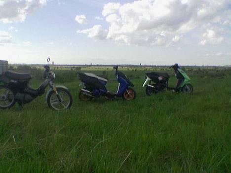 Honda sfx DØD - Wallaroo SFX Sonic giv mig lige en fair stemme billede 7