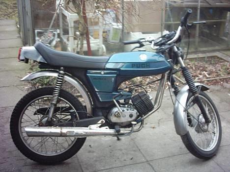 Puch Monza Juvel 3 - x - Det var så sådan hun så ud inden jeg solgte hende nu her. (Sommer 2005) billede 5