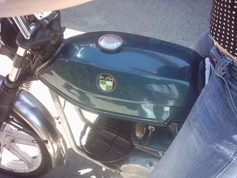 Puch Monza Juvel 3 - x - Min skide flotte kameleon tank. billede 9