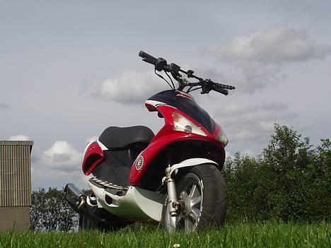 Benelli 491 ¤Solgt¤ billede 1