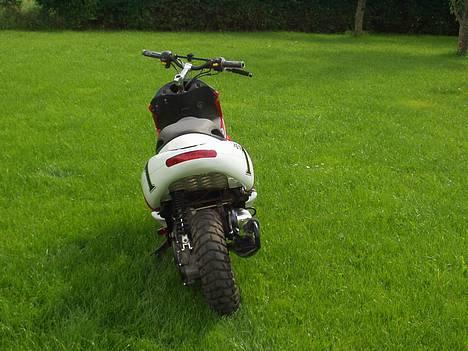 Benelli 491 ¤Solgt¤ billede 8