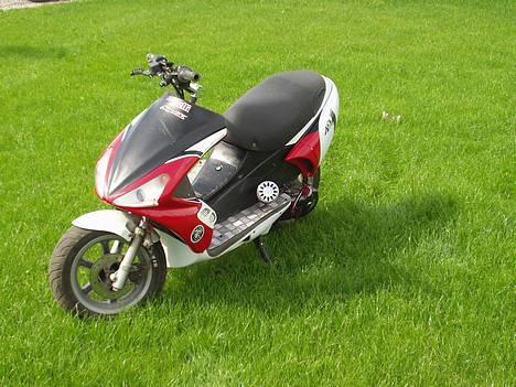 Benelli 491 ¤Solgt¤ billede 5