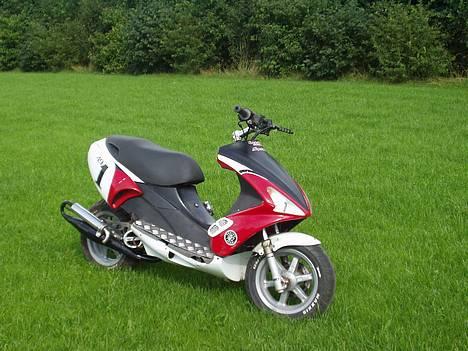 Benelli 491 ¤Solgt¤ billede 3